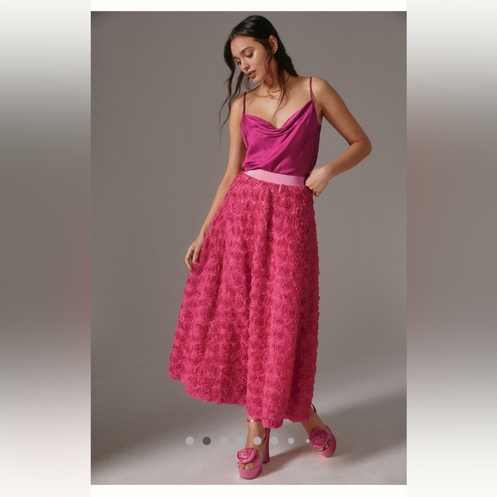 Anthropologie Maeve Floral Appliqué Skirt
